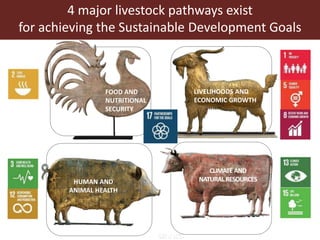 Livestock headwinds:Help or hindrance to sustainable development?