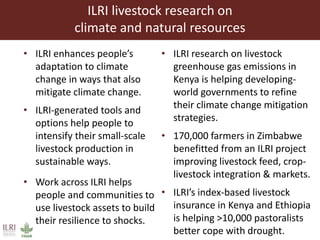 Livestock headwinds:Help or hindrance to sustainable development?