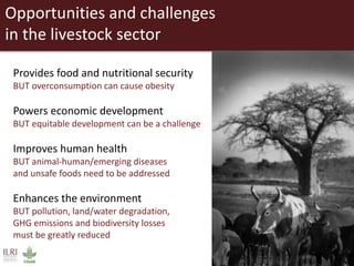 Livestock headwinds:Help or hindrance to sustainable development?