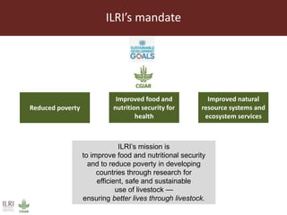 Livestock headwinds:Help or hindrance to sustainable development?