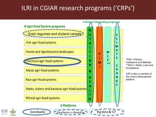 Livestock headwinds:Help or hindrance to sustainable development?