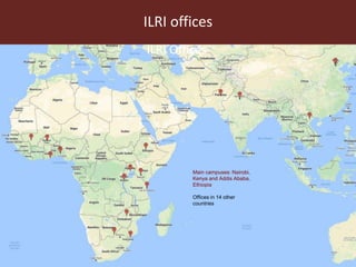 Livestock headwinds:Help or hindrance to sustainable development?