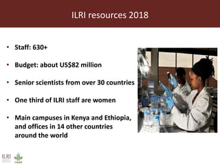 Livestock headwinds:Help or hindrance to sustainable development?