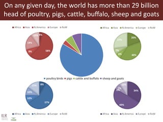 Livestock headwinds:Help or hindrance to sustainable development?