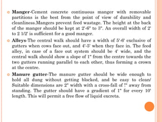  Manger-Cement concrete continuous manger with removable
partitions is the best from the point of view of durability and
cleanliness.Mangers prevent feed wastage. The height at the back
of the manger should be kept at 2'-6" to 3". An overall width of 2'
to 2 1/2' is sufficient for a good manger.
 Alleys-The central walk should have a width of 5'-6' exclusive of
gutters when cows face out, and 4'-5' when they face in. The feed
alley, in case of a face out system should be 4' wide, and the
central walk should show a slope of 1" from the centre towards the
two gutters running parallel to each other, thus forming a crown
at the centre.
 Manure gutter-The manure gutter should be wide enough to
hold all dung without getting blocked, and be easy to clean/
Suitable dimensions are 2" width with a cross-fall of !" away from
standing. The gutter should have a gradient of 1" for every 10'
length. This will permit a free flow of liquid excreta.
 