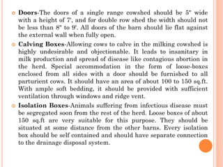  Doors-The doors of a single range cowshed should be 5" wide
with a height of 7', and for double row shed the width should not
be less than 8" to 9'. All doors of the barn should lie flat against
the external wall when fully open.
 Calving Boxes-Allowing cows to calve in the milking cowshed is
highly undesirable and objectionable. It leads to insanitary in
milk production and spread of disease like contagious abortion in
the herd. Special accommodation in the form of loose-boxes
enclosed from all sides with a door should be furnished to all
parturient cows. It should have an area of about 100 to 150 sq.ft.
With ample soft bedding, it should be provided with sufficient
ventilation through windows and ridge vent.
 Isolation Boxes-Animals suffering from infectious disease must
be segregated soon from the rest of the herd. Loose boxes of about
150 sq.ft are very suitable for this purpose. They should be
situated at some distance from the other barns. Every isolation
box should be self contained and should have separate connection
to the drainage disposal system.
 