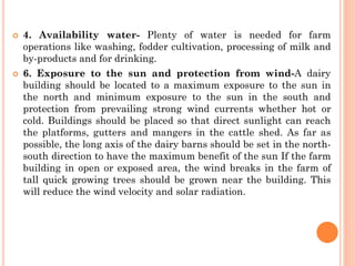  4. Availability water- Plenty of water is needed for farm
operations like washing, fodder cultivation, processing of milk and
by-products and for drinking.
 6. Exposure to the sun and protection from wind-A dairy
building should be located to a maximum exposure to the sun in
the north and minimum exposure to the sun in the south and
protection from prevailing strong wind currents whether hot or
cold. Buildings should be placed so that direct sunlight can reach
the platforms, gutters and mangers in the cattle shed. As far as
possible, the long axis of the dairy barns should be set in the north-
south direction to have the maximum benefit of the sun If the farm
building in open or exposed area, the wind breaks in the farm of
tall quick growing trees should be grown near the building. This
will reduce the wind velocity and solar radiation.
 