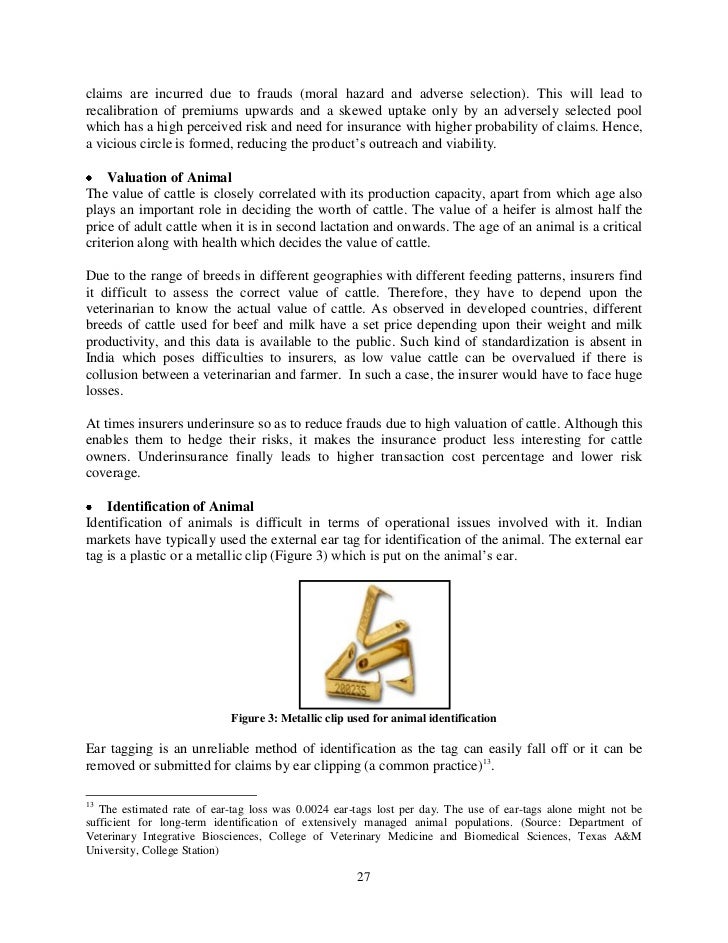new ideas for creative writing journals