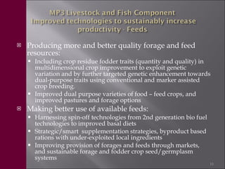 Livestock in the new CGIAR Consortium