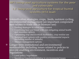 Livestock in the new CGIAR Consortium