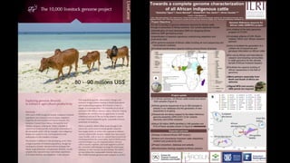 Invest in livestock diversity