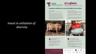 Invest in livestock diversity