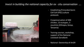 Invest in livestock diversity