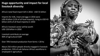 Invest in livestock diversity