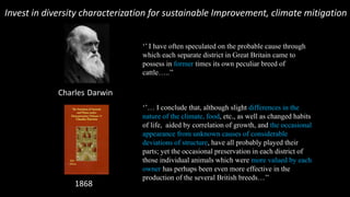 Invest in livestock diversity