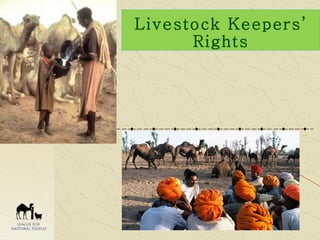 Livestock Keepers’ Rights 