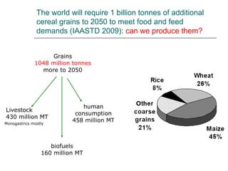Livestock and global change: Towards a sustainable and equitable livestock sector 