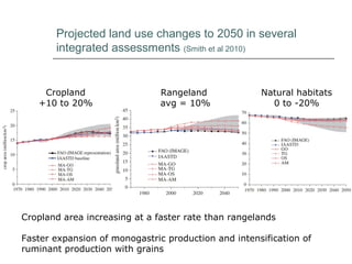 Livestock and global change: Towards a sustainable and equitable livestock sector 