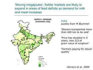 ‘Moving megajoules’: fodder markets are likely to
expand in areas of feed deficits as demand for milk
and meat increases

                                 India
                                 quotes from M Blummel

                                 ‘Stovers transported more
                                 than 400 km to be sold’

                                 ‘Price has doubled in 5
                                 years, now 2/3 of
                                 grain value of sorghum’

                                 ‘Farmers paying for stover
                                 quality’




                                     Herrero et al. 2009
 