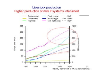Livestock and global change: Towards a sustainable and equitable livestock sector 