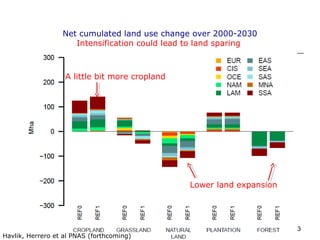Livestock and global change: Towards a sustainable and equitable livestock sector 