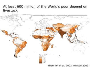 Livestock and global change: Towards a sustainable and equitable livestock sector 