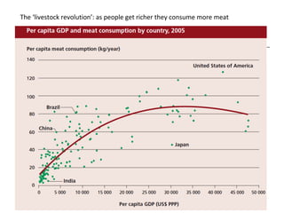 Livestock and global change: Towards a sustainable and equitable livestock sector 