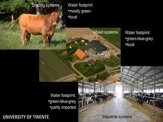 The water footprint of livestock products
