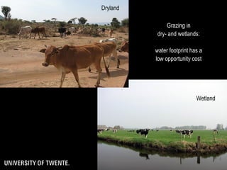 The water footprint of livestock products