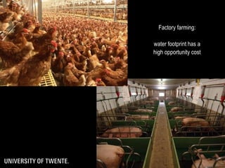 The water footprint of livestock products