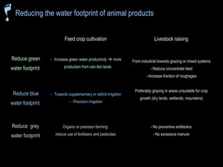 The water footprint of livestock products