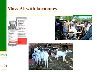 Agricultural research for crop and livestock value chains development: The IPMS experience