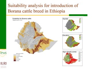 Agricultural research for crop and livestock value chains development: The IPMS experience