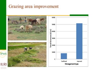 Agricultural research for crop and livestock value chains development: The IPMS experience