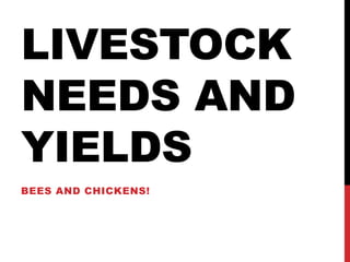 LIVESTOCK
NEEDS AND
YIELDS
BEES AND CHICKENS!
 