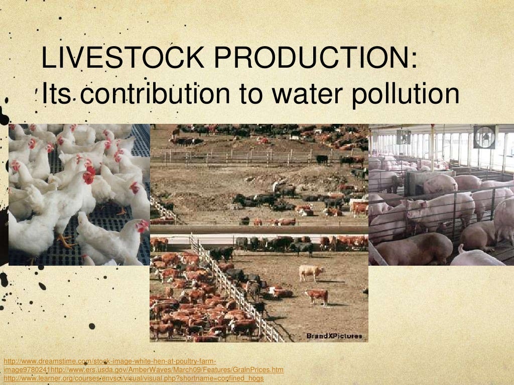 Livestock Production and Drinking Water