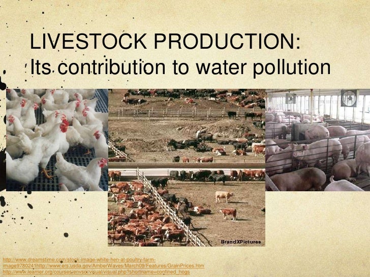 Livestock Production and Drinking Water Livestock Production and Drinking Water