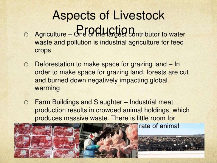 Livestock Production and Drinking Water