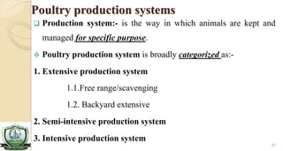 Livestock production system | PDF