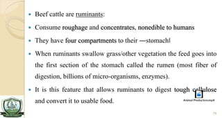 Structured Beef Roughage System Livestock production system | PDF