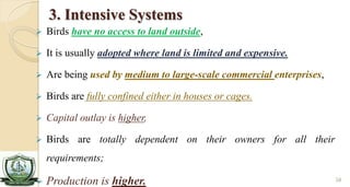 Livestock production system