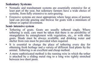 Sedentary Systems
• Nomadic and transhumant systems are essentially extensive for at
least part of the year, but sedentary farmers have a wide choice of
systems, from fully extensive to zero-grazing.
• Extensive systems are most appropriate where large areas of pasture
land can provide grazing and browse for goats with a minimum of
labour or capital investment.
Semi- intensive system
• Tethering of goats. Goats are usually tethered singly. Where
tethering is used, care must be taken that there is no possibility of
strangulation by entanglement with vegetation, etc., or with other
goats. Shade must be always available, and drinking water and
shelter from rain must be provided when required.
• It is essential to change the place of tethering every day for
obtaining fresh herbage and a variety of different feed plants by the
animal. Tethering is an excellent and cheap method.
• A more sophisticated method is the running wire in which the tether
is attached by a sliding metal ring to a long wire tightly stretched
between two short posts.
 