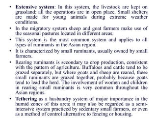 • Extensive system: In this system, the livestock are kept on
grassland; all the operations are in open place. Small shelters
are made for young animals during extreme weather
conditions.
• In the migratory system sheep and goat farmers make use of
the seasonal pastures located in different areas.
• This system is the most common system and applies to all
types of ruminants in the Asian region.
• It is characterized by small ruminants, usually owned by small
farmers.
• Rearing ruminants is secondary to crop production, consistent
with the pattern of agriculture. Buffaloes and cattle tend to be
grazed separately, but where goats and sheep are reared, these
small ruminants are grazed together, probably because goats
tend to lead the herd. The involvement of women and children
in rearing small ruminants is very common throughout the
Asian regions.
• Tethering as a husbandry system of major importance in the
humid zones of this area; it may also be regarded as a semi-
intensive system practiced by sedentary small farmers, or even
as a method of control alternative to fencing or housing.
 