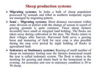 Sheep production systems
 Migrating systems: In India a bulk of sheep population
possessed by nomads and tribal in northern temperate region
are managed by migrating pattern.
 Semi – Migrating systems: Short distance movement within
state/ division or district with the change of season in search of
grazing grounds is quite common. These sheep farmers
invariably have small or marginal land holding. The flocks are
taken away during cultivation in the area. The flocks return to
their villages after harvest. Harvested field serve a grazing
boon and manuring of field for next crop is also possible
during the stop over period by night holding of flocks in
agricultural land.
 Sedentary or Stationary systems: Rearing of small number of
sheep on stationary footing near the farmers homestead round
the year is called sedentary system. The flock is taken in the
morning for grazing and return back to the homestead in the
evening. An economic unit size in stationary condition is 30 to
50 sheep.
 
