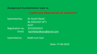 Assignment & presentation topic is;
‘‘LIVESTOCK RESOURCES OF PAKISTAN’’
Submitted by; M. Kashif Obaid
BS-ZOOLOGY (6th)
KUST
Registration no; ZO120162013
Email; kashifobaidkanz@gmail.com
Submitted to; MaM Irum Gull
Date= 27-06-2019
 