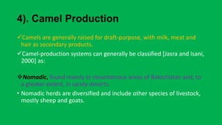 Livestock resources in pakistan | PPTX