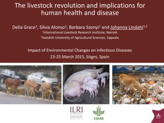 The livestock revolution and implications for
human health and disease
Delia Grace1, Silvia Alonso1, Barbara Szonyi1 and Johanna Lindahl1,2
1International Livestock Research Institute, Nairobi
2Swedish University of Agricultural Sciences, Uppsala
Impact of Environmental Changes on Infectious Diseases
23-25 March 2015, Sitges, Spain
1
 
