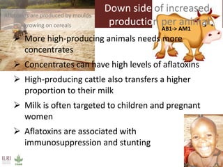 The livestock revolution and implications for human health and disease