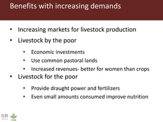 The livestock revolution and implications for human health and disease