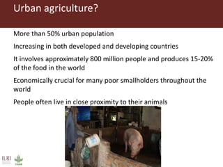 The livestock revolution and implications for human health and disease